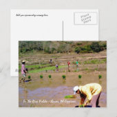 Postale Dans Les Champs De Riz - Ilocos, Philippines Carte (Devant / Derrière)
