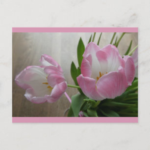 Postale Deux Belles Tulipes Roses do-it-yourself Carte Pos