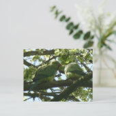 Postale Deux Jolies perruches à Rose do-it-yourself carte (Debout devant)