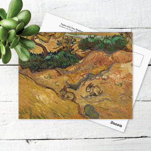 Postale Deux lapins dans le champ Vincent van Gogh Carte p