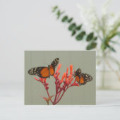 Postale Deux papillons blancs orange do-it-yourself carte  (Debout devant)