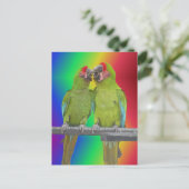 Postale Deux perroquets verts Rainbow do-it-yourself carte (Debout devant)