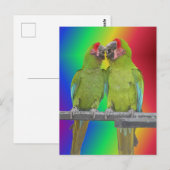 Postale Deux perroquets verts Rainbow do-it-yourself carte (Devant / Derrière)