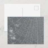 Postale Dew laisse tomber Spider Web do-it-yourself carte  (Devant / Derrière)