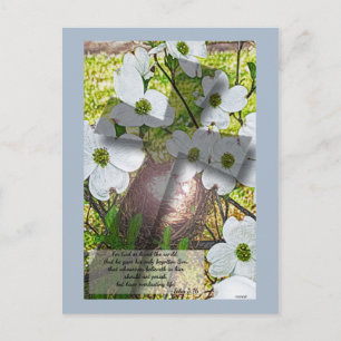 Postale Dogwood Flower and Cross avec John 3:16 Carte post