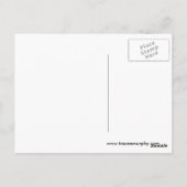 Postale Dollars de sable Aquarelle et Ink Art Carte postal (Dos)