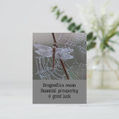 Postale Dragonfly Dragonflies Signification carte (Debout devant)
