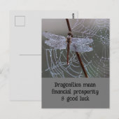 Postale Dragonfly Dragonflies Signification carte (Devant / Derrière)