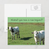 Postale Drôle Carte postale, "N'as-tu pas vu une vache ava (Devant / Derrière)