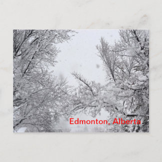 Postale Edmonton (Alberta) Carte Winter Post