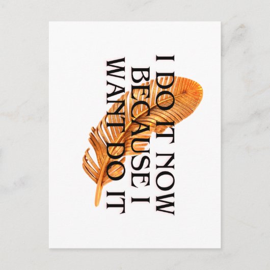 Postale Elégante carte d'invitation de devis en plumes - m (Devant)