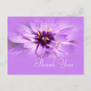 Postale Elégante fleur marguerite violette merci carte pos