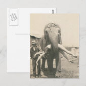 Postale éléphant avec une fille dans la bouche carte posta (Devant / Derrière)