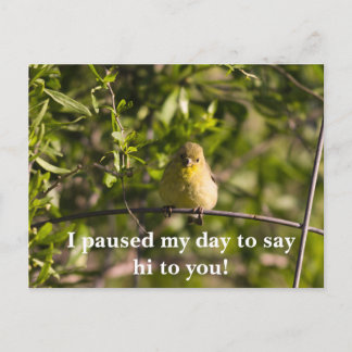 Postale Encouragement Carte de voeux avec bébé jaune Bird