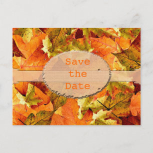 Postale Faire-part Belles feuilles de couleur d'automne, carte postal