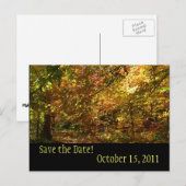 Postale Faire-part Canopy of Fall Leaves Enregistrer la date Carte po (Devant / Derrière)