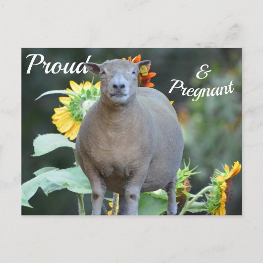 Postale Faire-part Carte d'annonce de grossesse pittoresque (Devant)