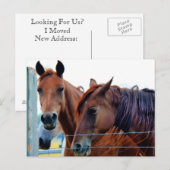 Postale Faire-part Carte de changement d'adresse (Devant / Derrière)