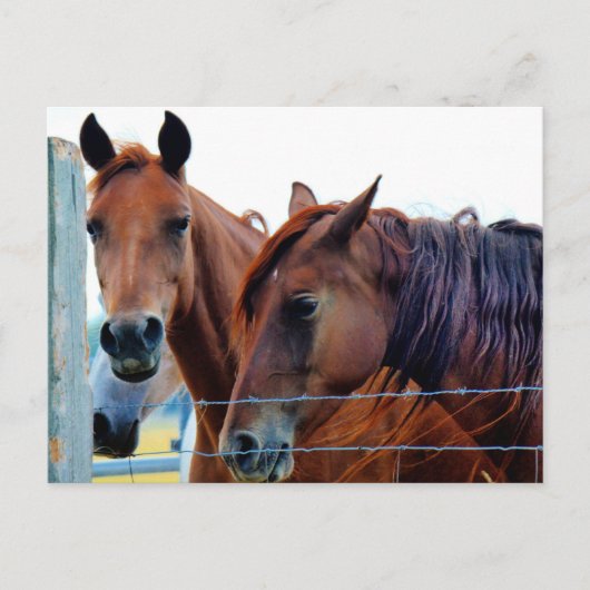 Postale Faire-part Carte de changement d'adresse (Devant)