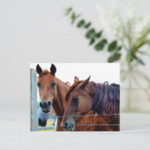 Postale Faire-part Carte de changement d'adresse (Debout devant)