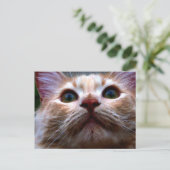Postale Faire-part Carte de Changement d'Adresse (Debout devant)