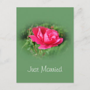 Postale Faire-part Carte de notification d'adresse juste mariée