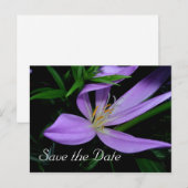 Postale Faire-part Carte de notification de sauvegarde de date (Devant / Derrière)