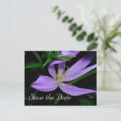 Postale Faire-part Carte de notification de sauvegarde de date (Debout devant)