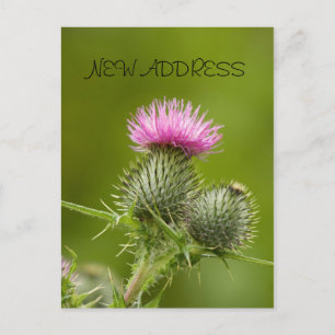 Postale Faire-part Carte de nouvelle adresse de la fleur de chardon