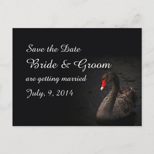 Postale Faire-part Carte de préavis Black Swan (Devant)