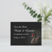 Postale Faire-part Carte de préavis Black Swan (Debout devant)