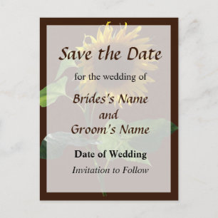 Postale Faire-part Carte de rendez-vous Sunflower Looking Down