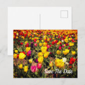 Postale Faire-part Carte de sauvegarde de date (Devant / Derrière)