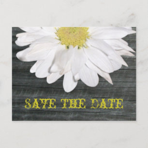 Postale Faire-part Carte de sauvegarde de date - Daisy & Barnwood