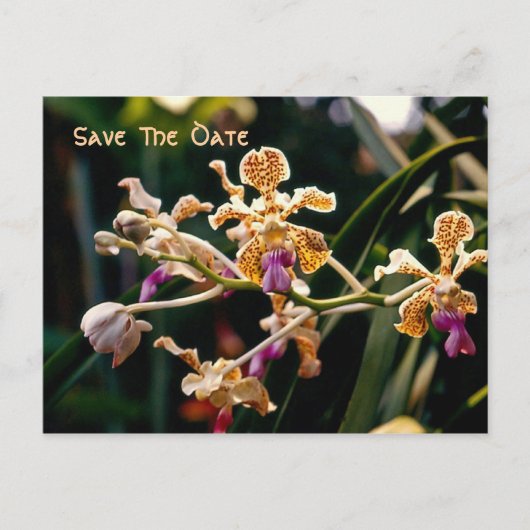 Postale Faire-part Carte de sauvegarde de date de l'orchidée sauvage (Devant)