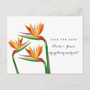 Postale Faire-part Carte de sauvegarde de mariage oiseau de paradis