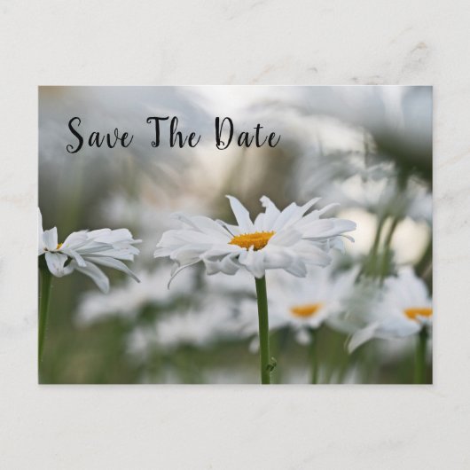 Postale Faire-part Carte de vœux d'anniversaire 'Save The Date' (Devant)
