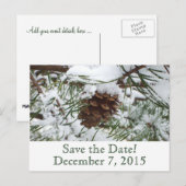 Postale Faire-part Carte de vœux de sauvegarde de pin d'hiver (Devant / Derrière)