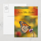 Postale Faire-part Carte Papillon Monarque (Devant / Derrière)