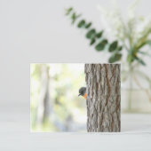 Postale Faire-part Carte Robin Peeping Bush (Debout devant)