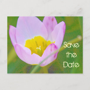 Postale Faire-part carte vierge de tulipe pour sauver la date