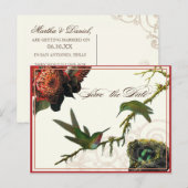 Postale Faire-part Colibris de la Protea Rouge - Carte de réservation (Devant / Derrière)