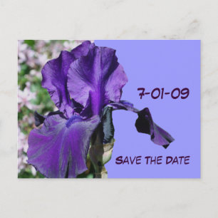 Postale Faire-part Enregistrer La Date Purple Iris Flower Photo Carte