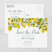 Postale Faire-part Fleurs de citronniers, écriture élégante, carte de (Devant / Derrière)