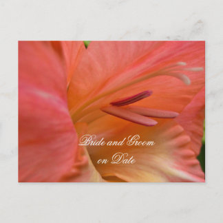 Postale Faire-part Luxe Elegant Hibiscus Spring Enregistrer la carte