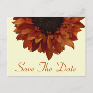 Postale Faire-part Mariage de automne Enregistrer La Date Carte Posta