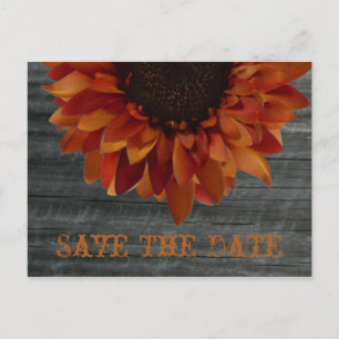 Postale Faire-part Mariage de automne Enregistrer La Date Carte Posta