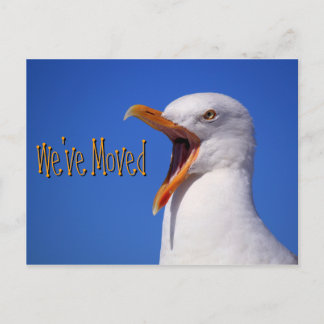Postale Faire-part Nous avons déménagé Blague de Mouette Drôle Carte