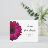 Postale Faire-part Pink Gerbera Daisy Enregistrer la date Carte posta (Debout devant)