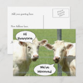 Postale Faire-part Présentation des vaches Changement d'adresse Carte (Devant / Derrière)